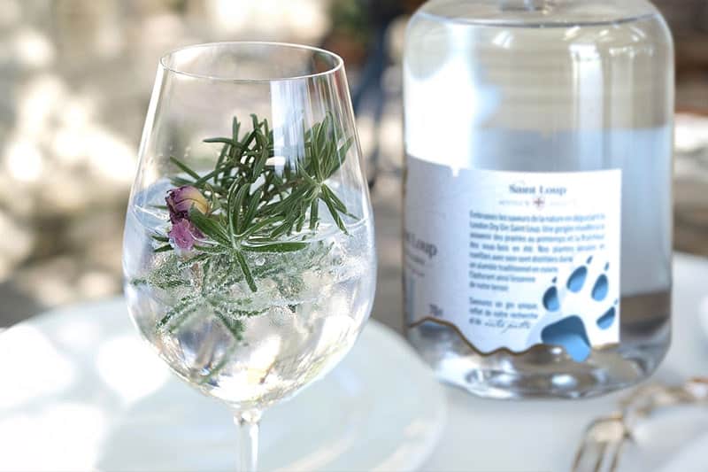 cocktail gin Saint loup